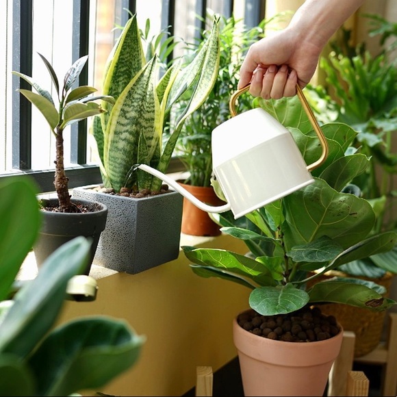 Watering Can🪴💦 Ivory and Gold 30oz Watering Can Maria Seipel VATTENKRASSE Ikea - Picture 12 of 12